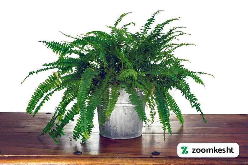 1765997851517-161310832.webp 1765997851517-161310832.webp