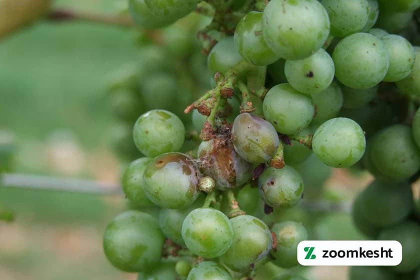 1765997862184-989266301.webp 1765997862184-989266301.webp