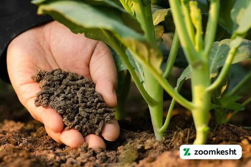 1765997898828-770342276.webp 1765997898828-770342276.webp