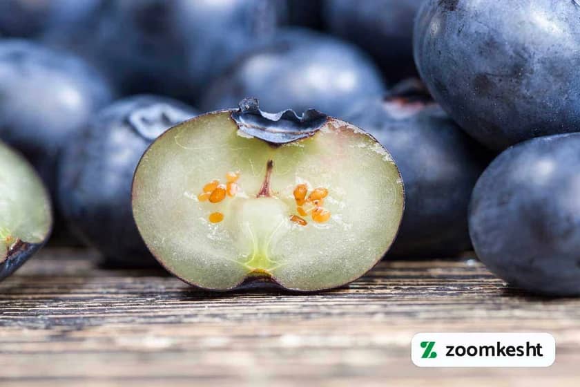 1765998583985-749223652.webp 1765998583985-749223652.webp