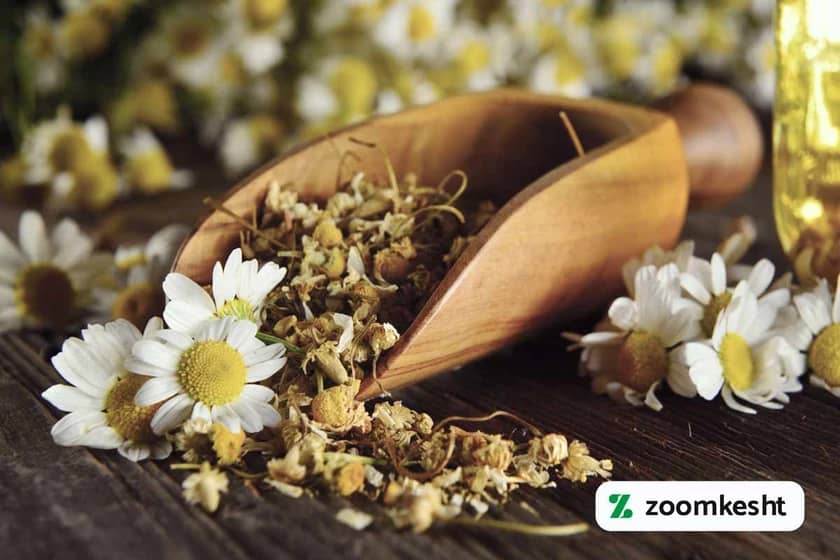 1765998631712-275265661.webp 1765998631712-275265661.webp