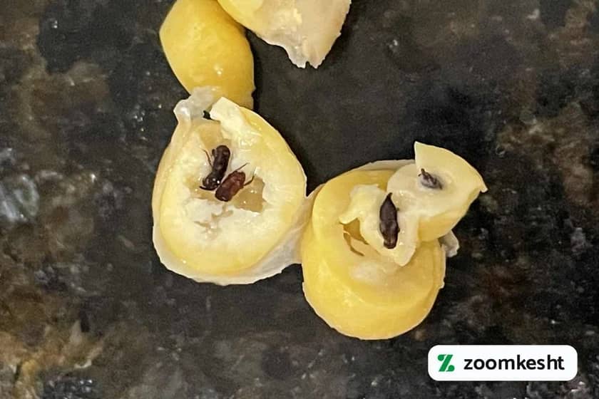 1765998761311-172919294.webp 1765998761311-172919294.webp