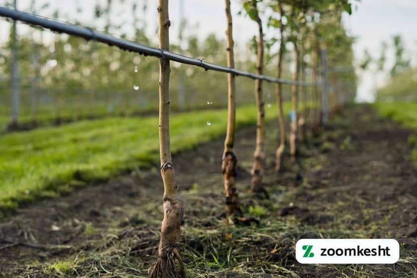 1765998819215-955183814.webp 1765998819215-955183814.webp