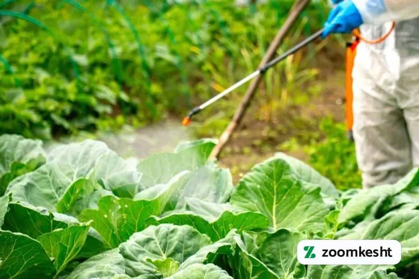 1765998828809-436583063.webp 1765998828809-436583063.webp