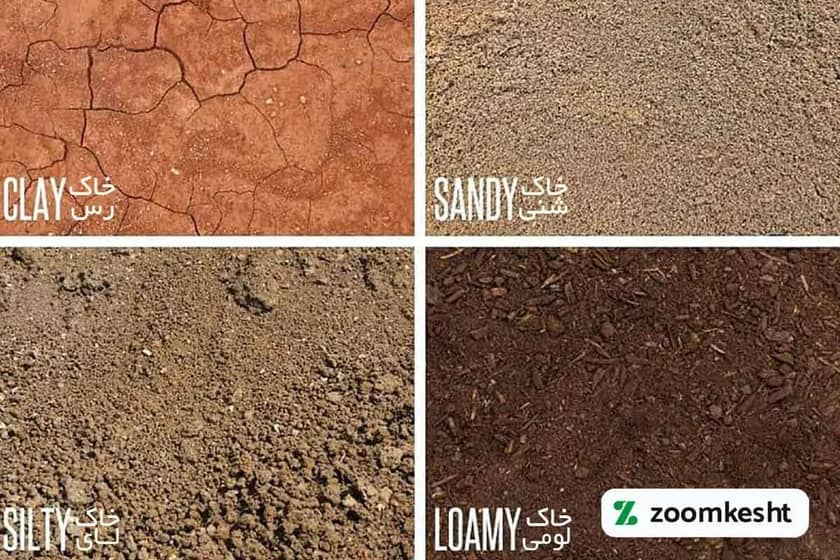 1765998834725-446128746.webp خاک مناسب کاشت هویج