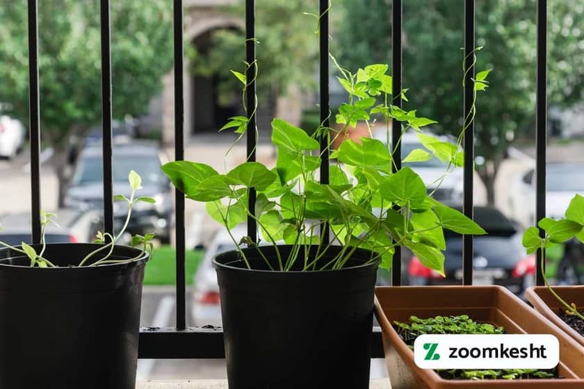 1765998863425-655959154.webp 1765998863425-655959154.webp