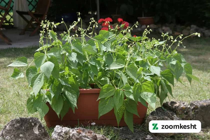 1765998867056-69653617.webp 1765998867056-69653617.webp