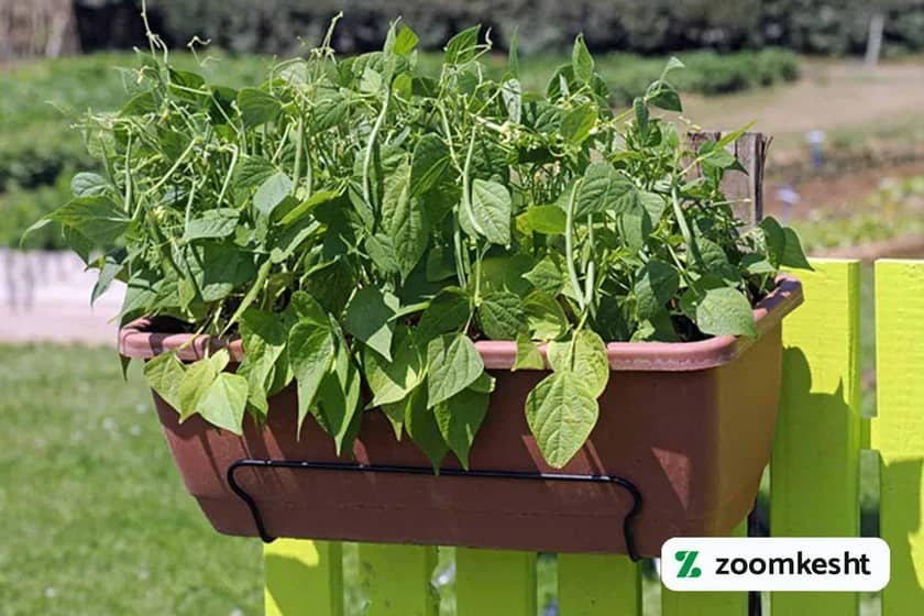 1765998868217-61018144.webp 1765998868217-61018144.webp