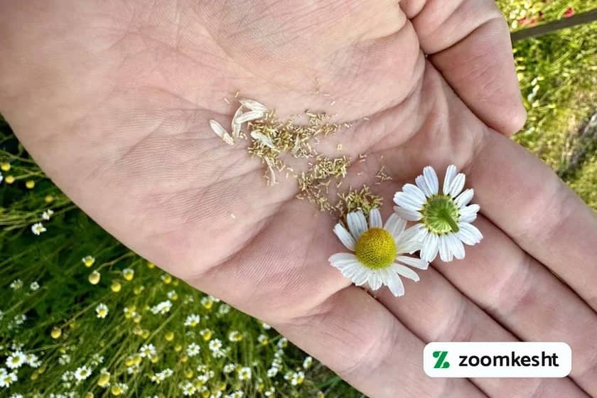 1765999047725-96481245.webp 1765999047725-96481245.webp