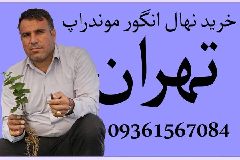 1765999230016-9447551.webp 1765999230016-9447551.webp