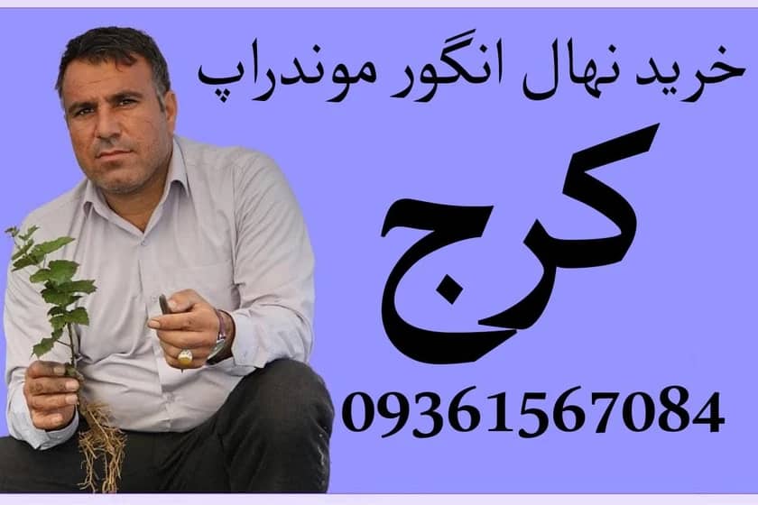 1765999232916-300762073.webp 1765999232916-300762073.webp