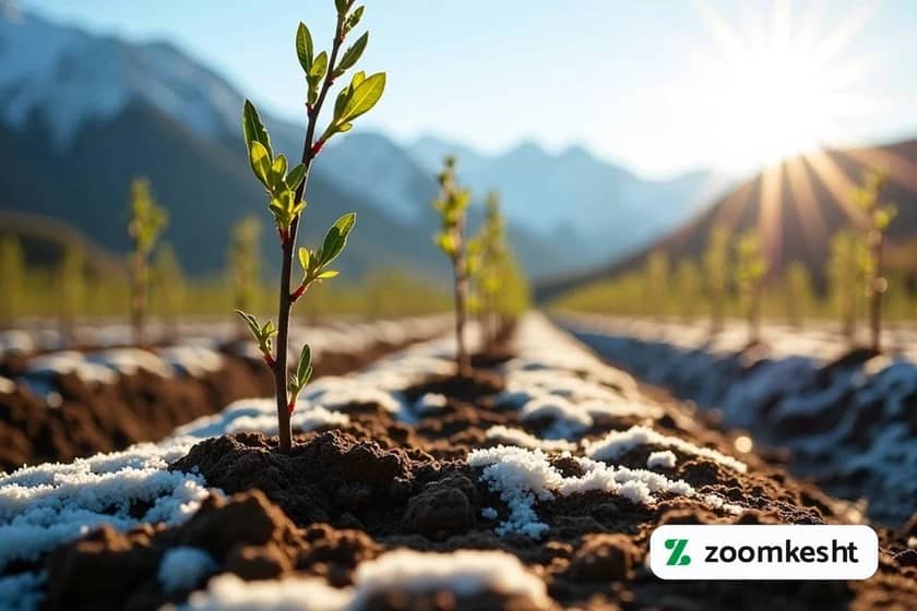 1765999305823-173744700.webp 1765999305823-173744700.webp