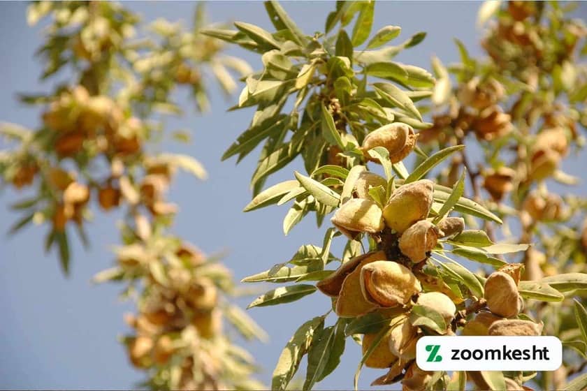 1765999328522-846788430.webp 1765999328522-846788430.webp