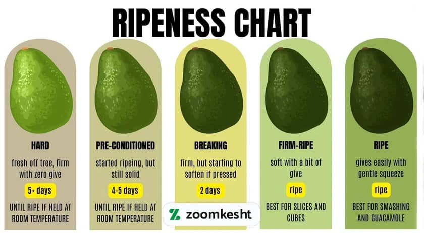 1765999382222-619464774.webp برداشت میوه