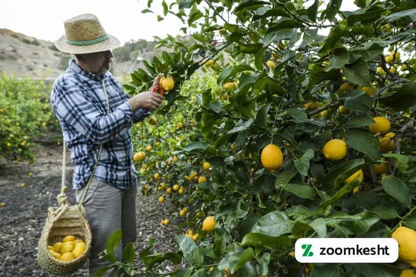 1765999478323-715942114.webp 1765999478323-715942114.webp