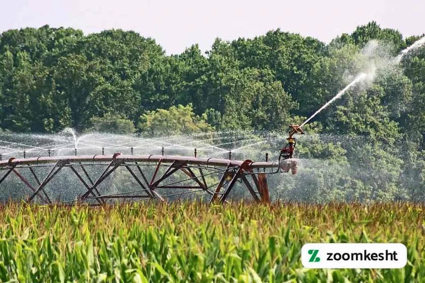 1765999501211-953105243.webp 1765999501211-953105243.webp