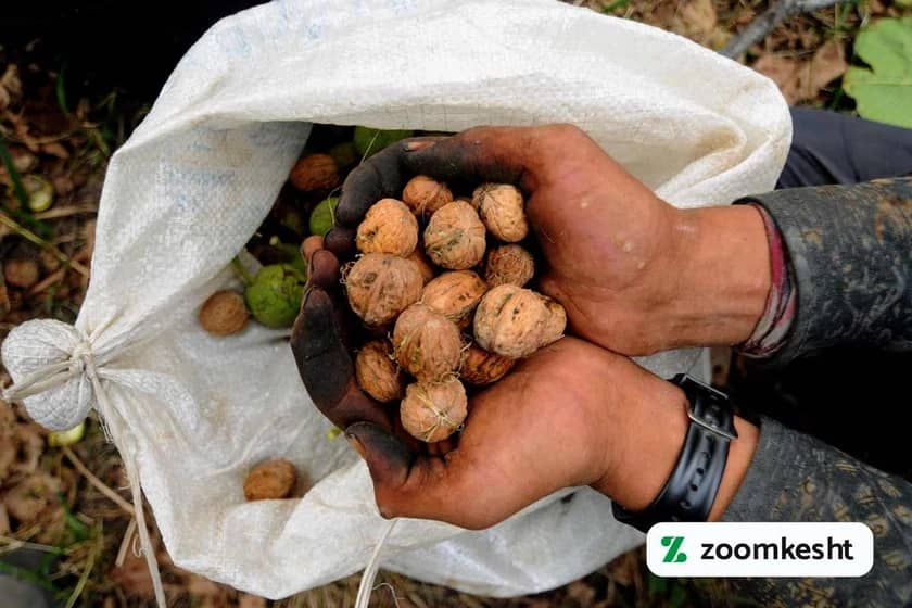 1765999503919-118711604.webp 1765999503919-118711604.webp