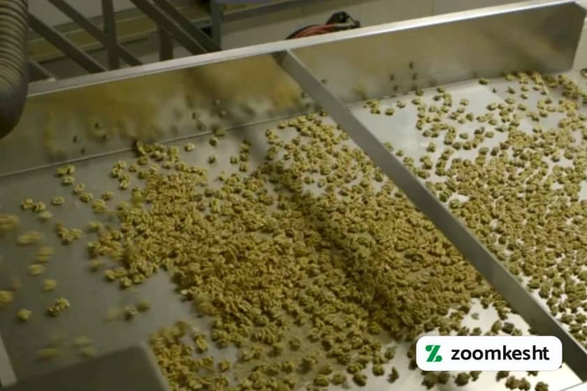 1765999506516-944636514.webp 1765999506516-944636514.webp