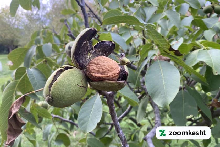 1765999507617-719559169.webp 1765999507617-719559169.webp