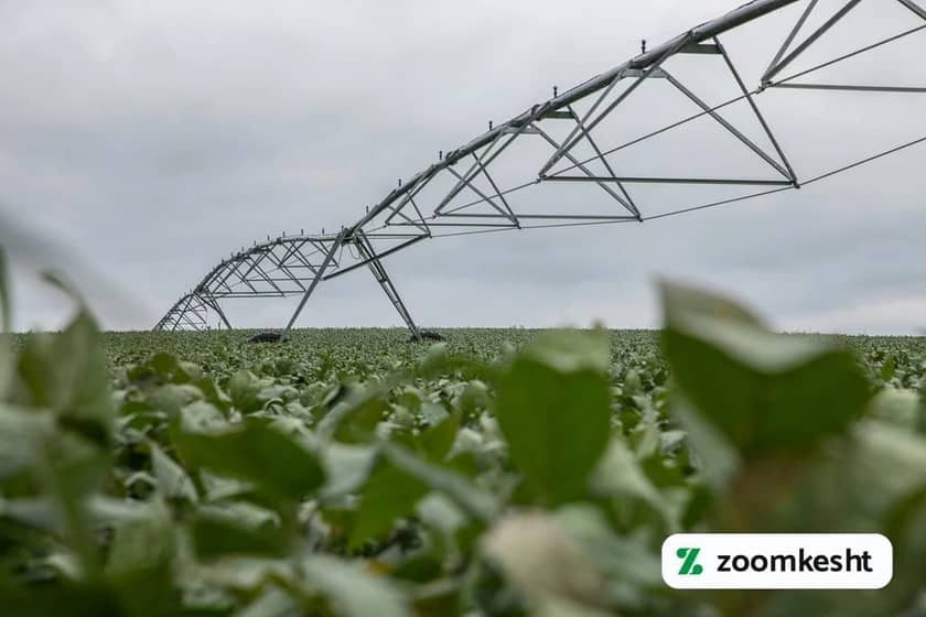 1765999514684-89514592.webp آبیاری سویا