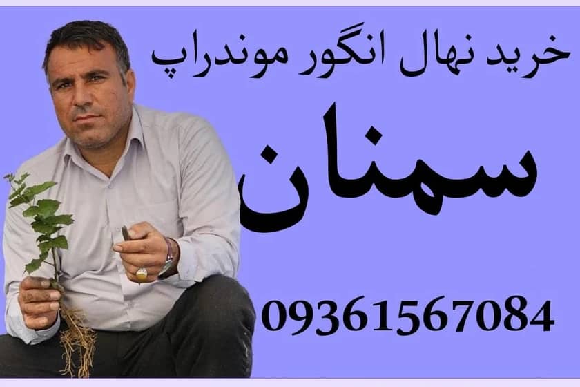 1765999521312-867761316.webp 1765999521312-867761316.webp