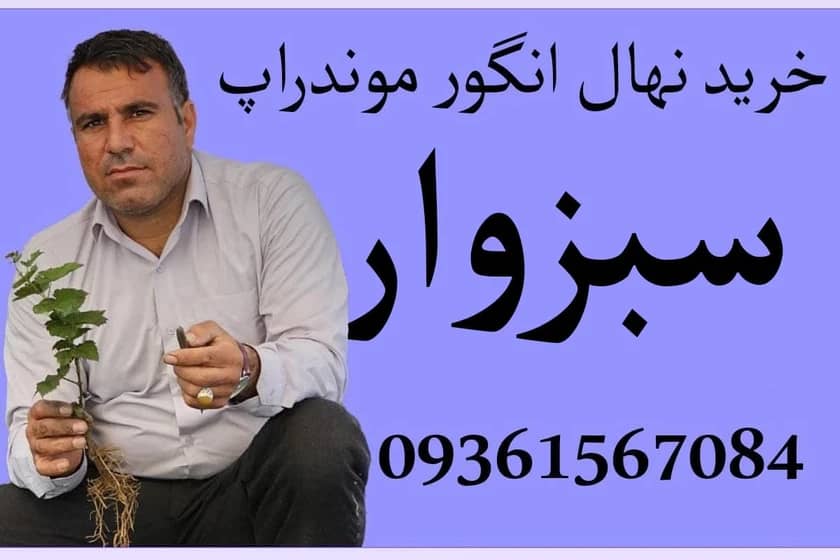 1765999522684-177104183.webp 1765999522684-177104183.webp