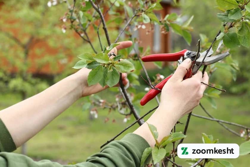 1765999529011-15264105.webp 1765999529011-15264105.webp