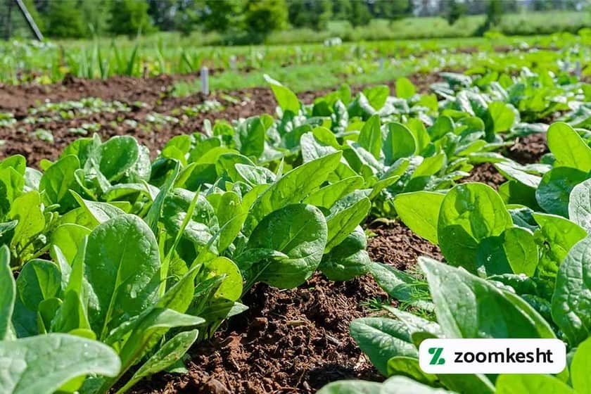 1765999535423-702916862.webp 1765999535423-702916862.webp