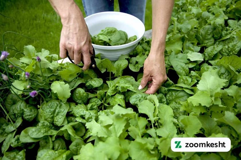 1765999537926-101702588.webp 1765999537926-101702588.webp