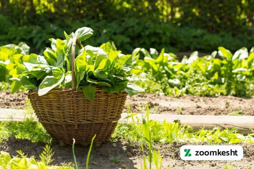 1765999539184-469040505.webp 1765999539184-469040505.webp