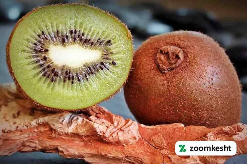 1765999543126-974636458.webp 1765999543126-974636458.webp