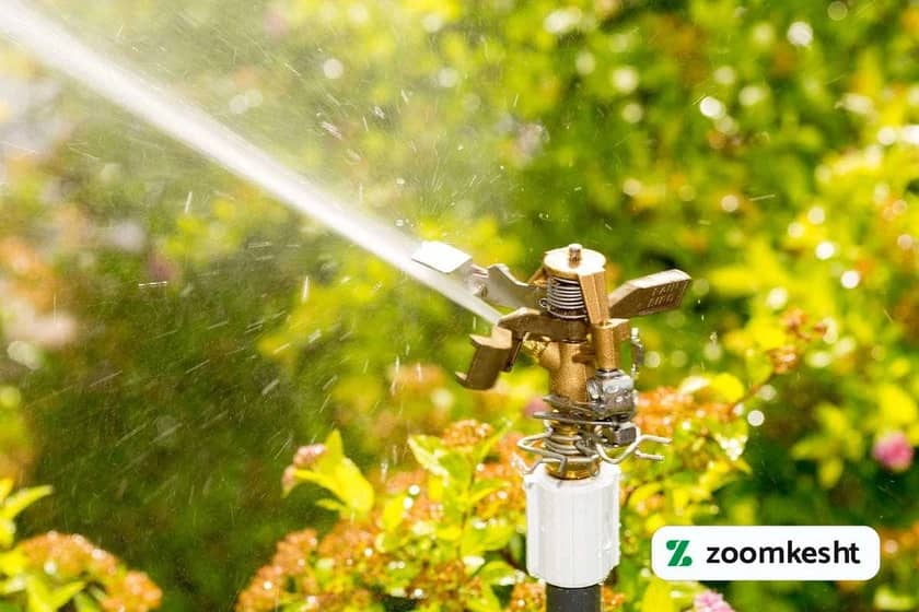 1765999548422-528487098.webp آبیاری درخت کیوی