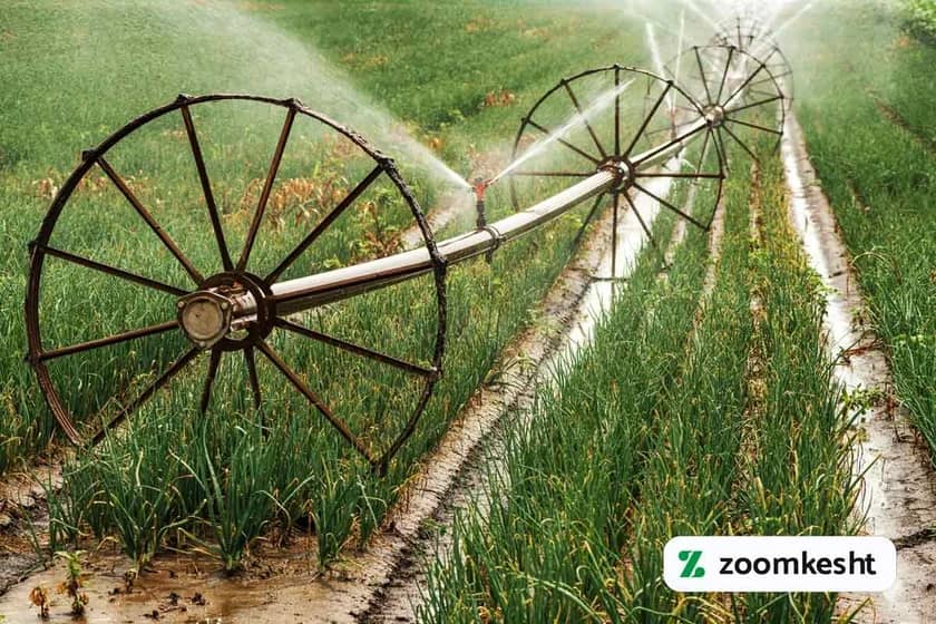 1765999566784-735014323.webp بهترین روش آبیاری پیاز