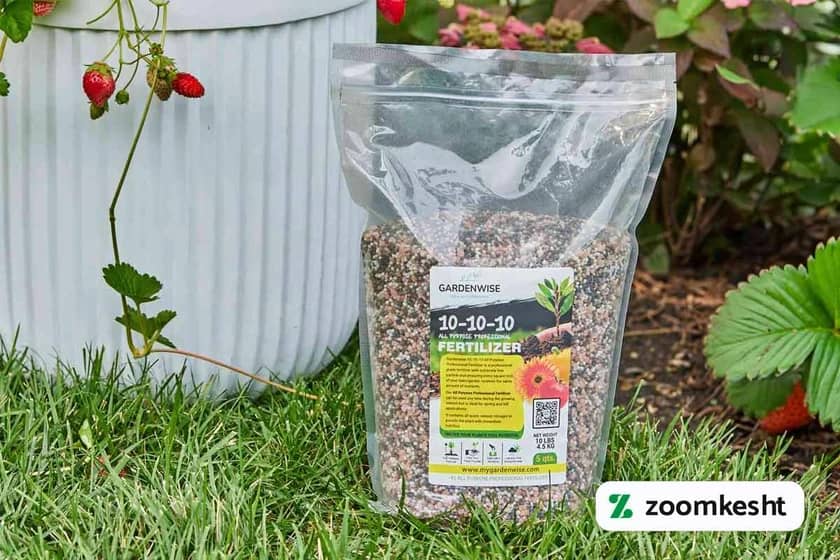 1765999572227-824766542.webp کوددهی توت فرنگی "بهترین کود برای توت فرنگی"