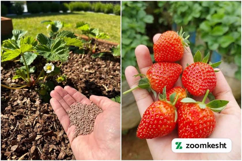 1765999576118-904146053.webp 1765999576118-904146053.webp