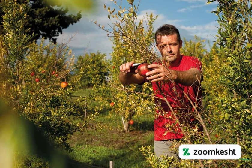 1765999578818-686691968.webp 1765999578818-686691968.webp